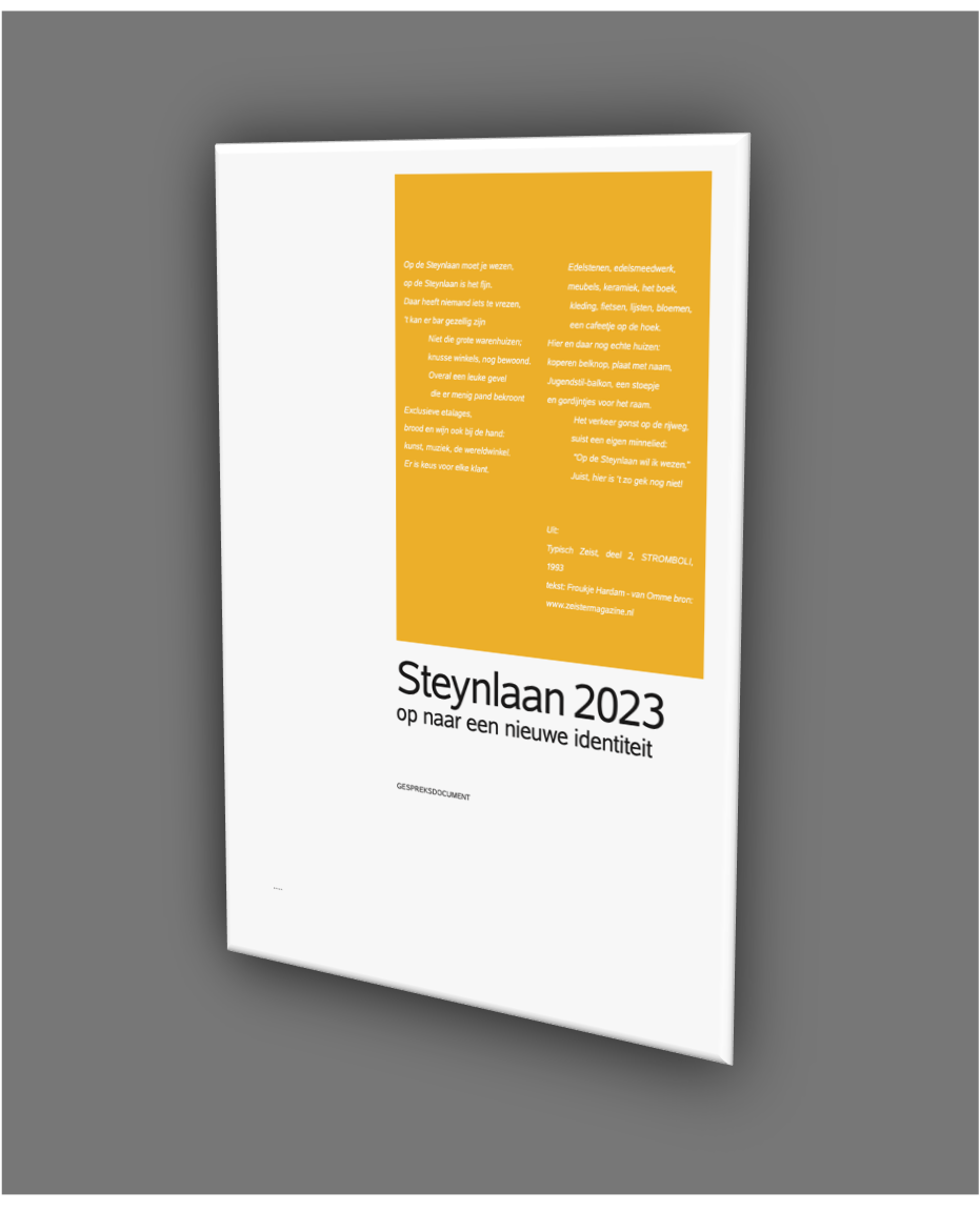 Steynlaan 2023 cover - click to download PDF
